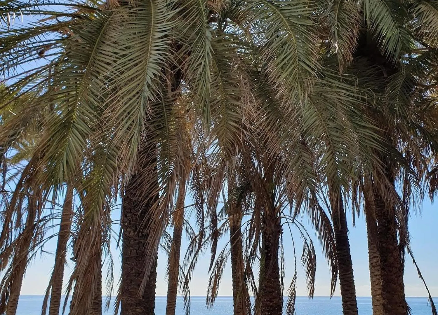 Apartmán Bonito Estudio Carihuela Con Terraza, Wifi, Playa A 150 Metros Torremolinos Španělsko